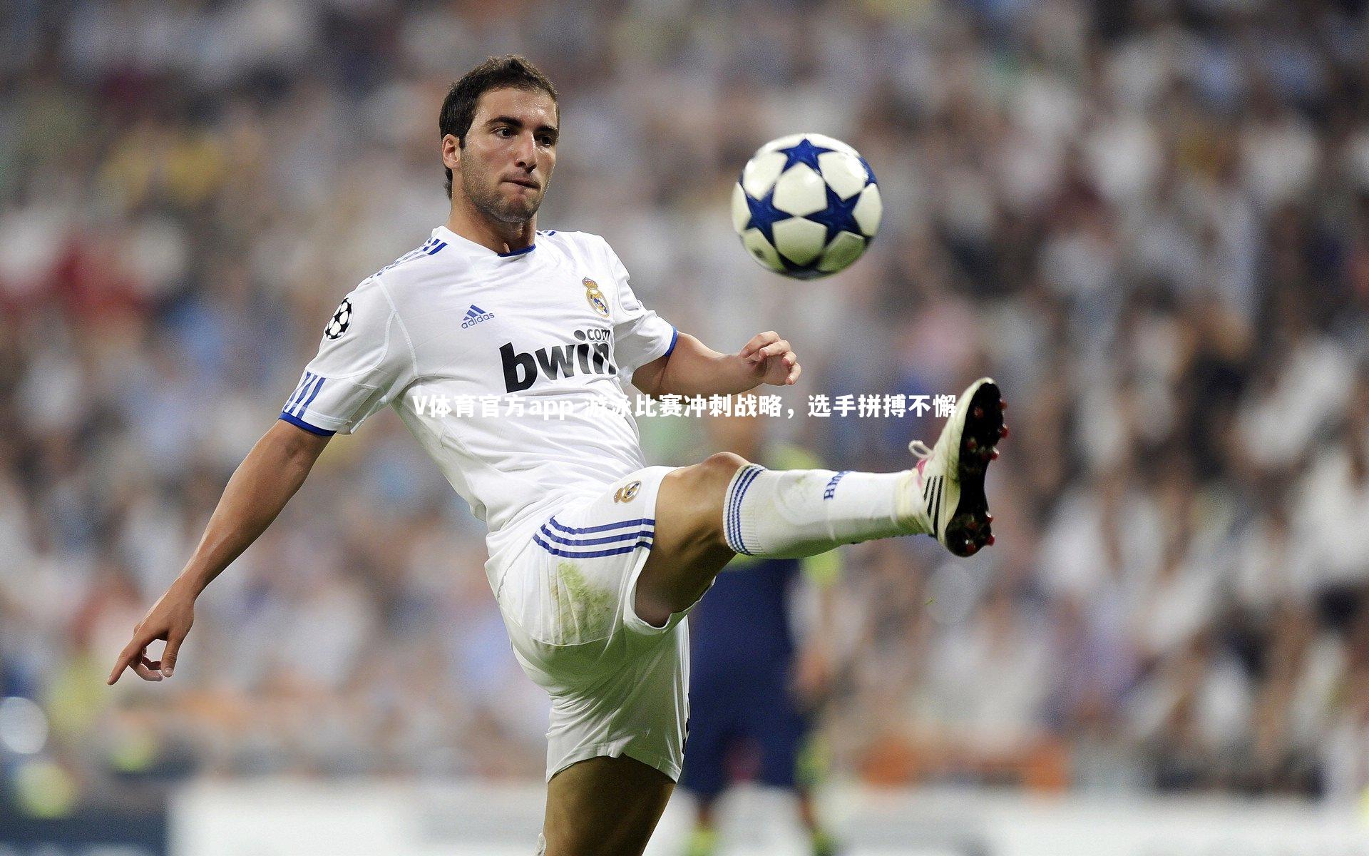 游泳比赛冲刺战略,选手拼搏不懈