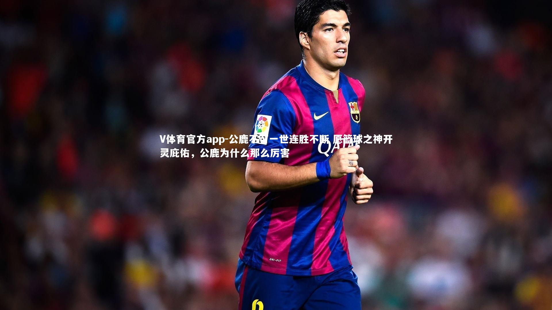 V体育官方app-公鹿不可一世连胜不断 愿篮球之神开灵庇佑，公鹿为什么那么厉害