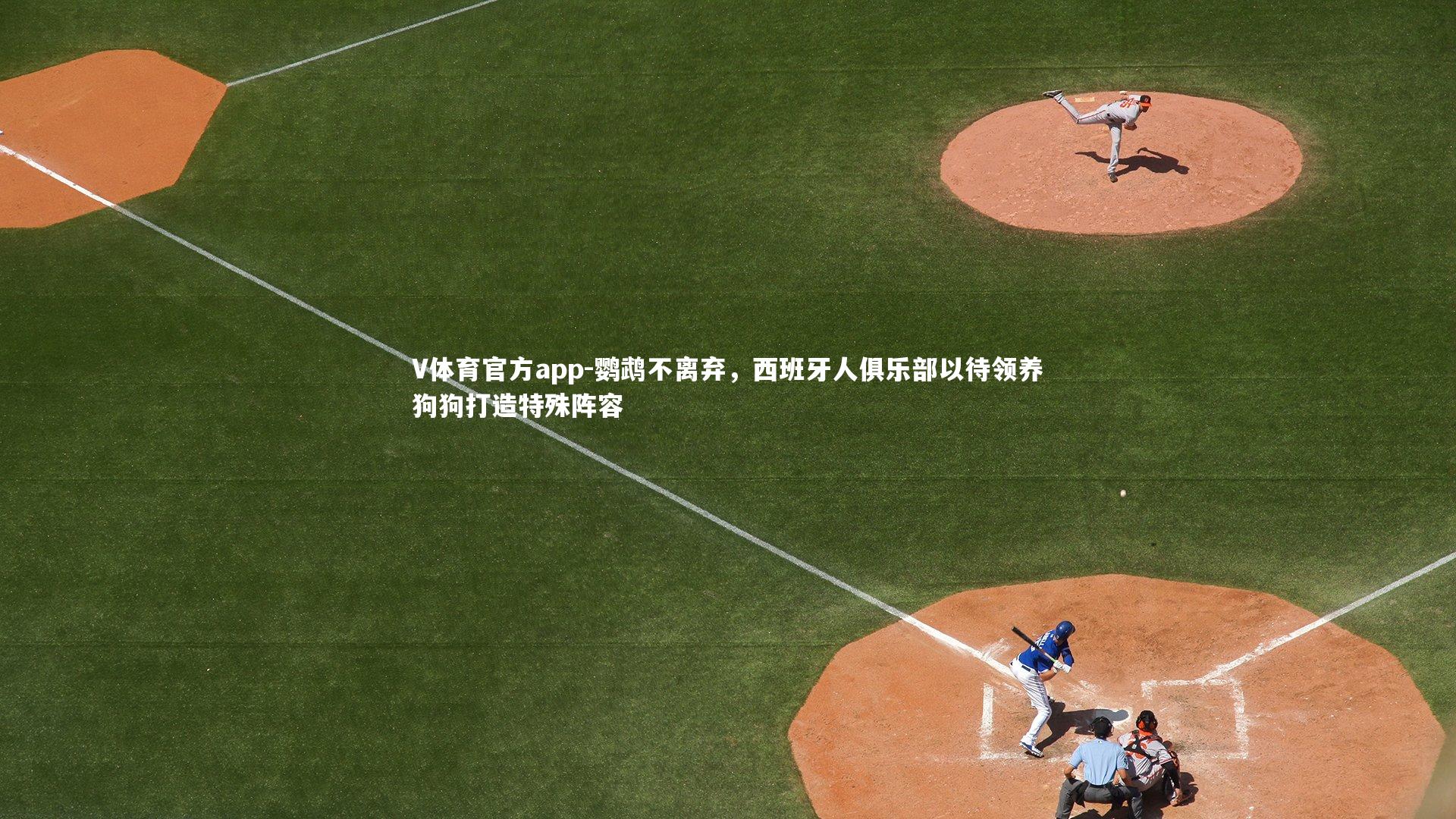 鹦鹉不离弃，西班牙人俱乐部以待领养狗狗打造特殊阵容